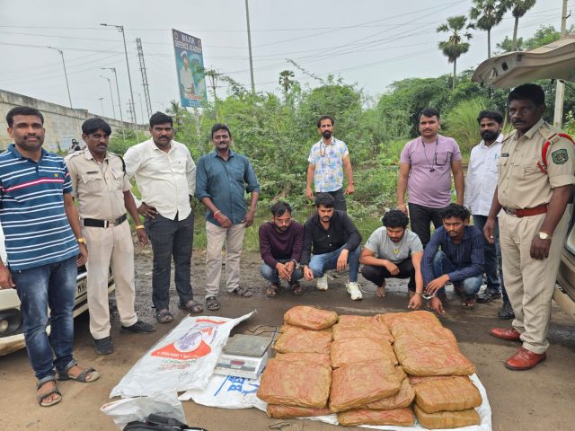 Performance of Kalyan Zone-3 Police: Interstate racket exposed in marijuana smuggling case, 13 people arrested