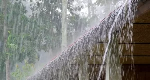 पावसाचा रेड अलर्ट; कल्याण डोंबिवलीमध्ये रात्रीपासूनच जोरदार पावसाची हजेरी, प्रशासनाकडून सतर्कतेचे आवाहन