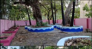 कल्याण-डोंबिवली महानगरपालिकेचा उपक्रम : शहरातील डिव्हायडर, उद्याने आणि मैदानांचा कायापालट सुरू