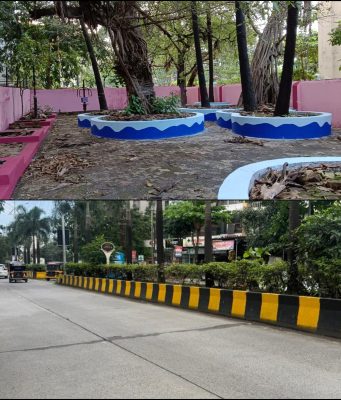 कल्याण-डोंबिवली महानगरपालिकेचा उपक्रम : शहरातील डिव्हायडर, उद्याने आणि मैदानांचा कायापालट सुरू