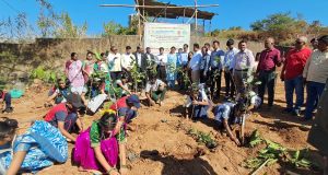 केडीएमसी – बीपीसीएलच्या माध्यमातून मांडा टिटवाळ्यात उभे राहणार घनदाट जंगल; 30 हजार देशी वृक्षांची मियावाकी पद्धतीने लागवड