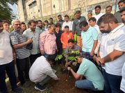 ‘एक पेड़ माँ के नाम’ उपक्रमांतर्गत डोंबिवलीत वृक्षारोपण; भाजप प्रदेशाध्यक्ष रविंद्र चव्हाण यांचाही सहभाग
